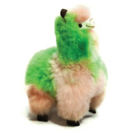 Llama Multi-color
