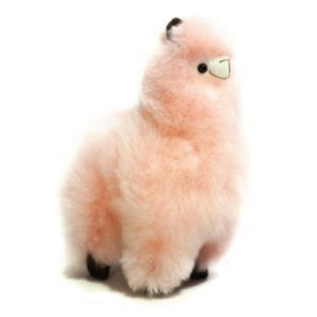 Llama Rosado Claro