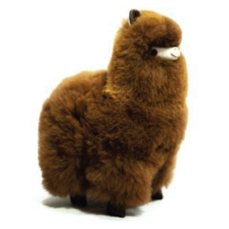 Llama Marrón