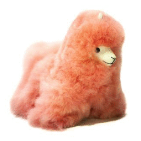 Llama Rosado Oscuro