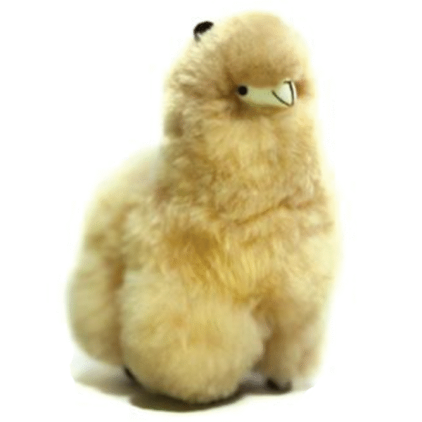 Llama Beige