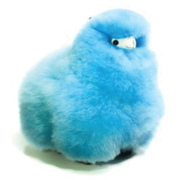 Llama Azul Claro