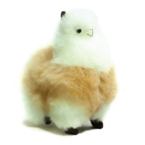 Llama Multi-color