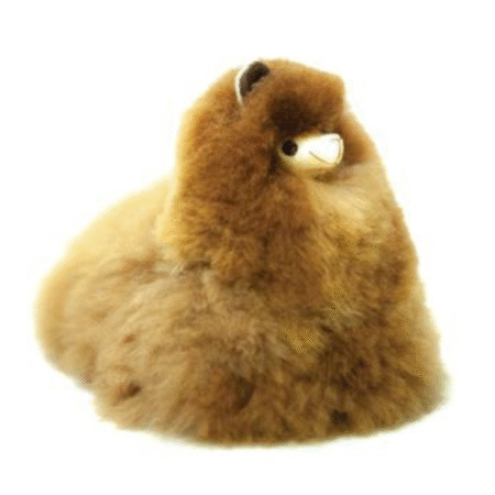 Llama Marrón Claro
