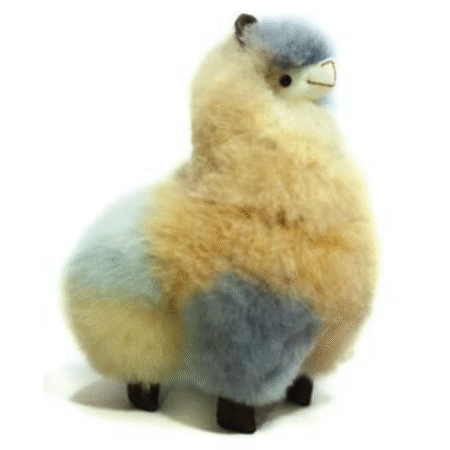 Llama Multi-color