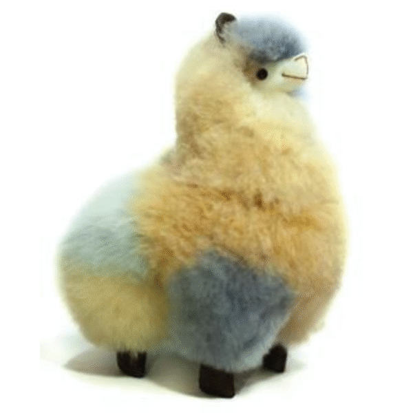 Llama Multi-color