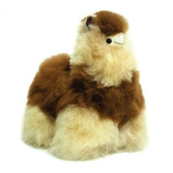 Llama Multi-color