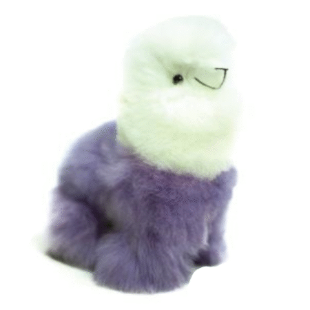 Llama Multi-color