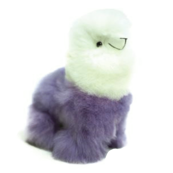 Llama Multi-color