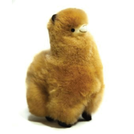 Llama Marrón