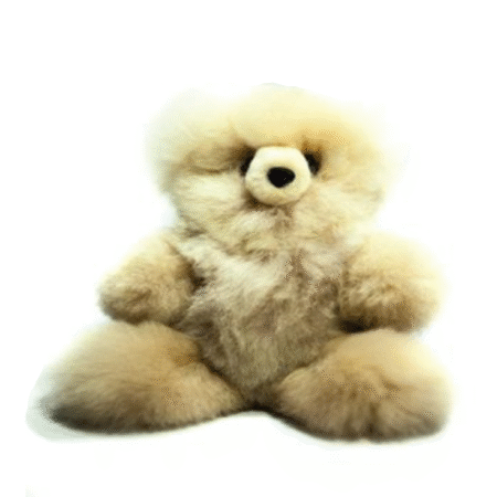 Oso